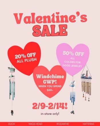 Kitty Hawk Kites, Valentine's Day Sale