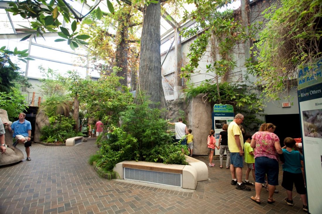 Gallery North Carolina Aquarium on Roanoke Island Outer Banks, NC