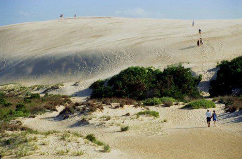 Gallery | Jockey's Ridge State Park | Outer Banks, NC