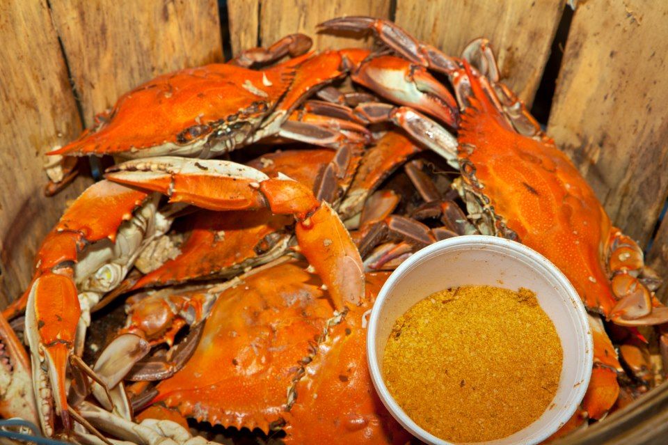 Gallery | Outer Banks Seafood Festival | Outer Banks, NC