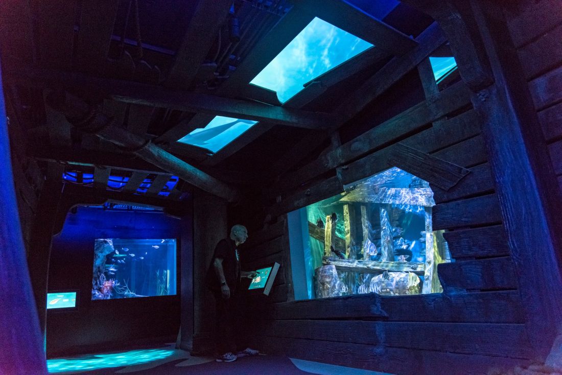 Gallery North Carolina Aquarium on Roanoke Island Outer Banks, NC