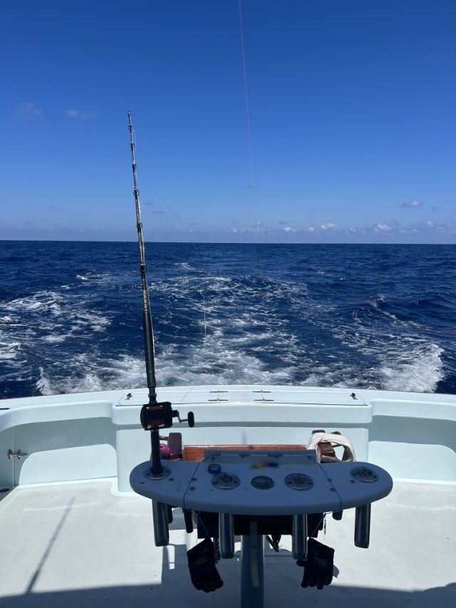 Fishing Reports, Tuna Duck Sportfishing