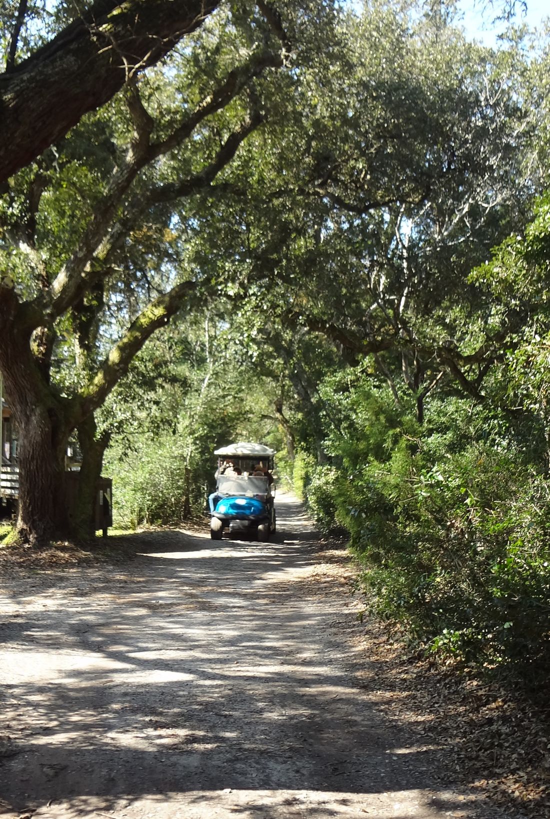 ocracoke sex personals Personal ads for ocracoke, nc are a great way to find a life partner, movie date, or a quick hookup personals are for people local to ocracoke, nc and are for ages 18+ of either sex. ocracoke sex personals Personal ads for ocracoke, nc are a great way to find a life partner, movie date, or a quick hookup personals are for people local to ocracoke, nc and are for ages 18+ of either sex.