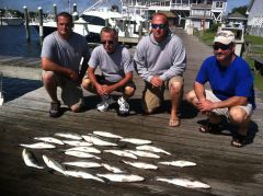 T-Time Charters photo