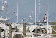 Hatteras Village photo