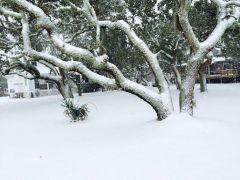 Hatteras Village photo