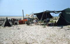 Cape Hatteras Anglers Club photo