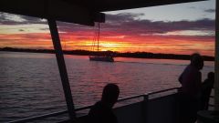 Captain Johnny’s Dolphin Tours