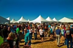 Outer Banks Seafood Festival photo