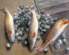 Hatteras Harbor Marina photo