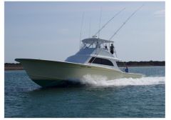 Bite Me Sportfishing Charters photo