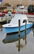 Backin&#039; Up Sportfishing Charters photo