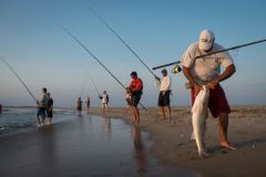 Red Drum Tackle Shop photo