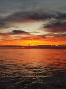 Captain Johnny’s Dolphin Tours photo