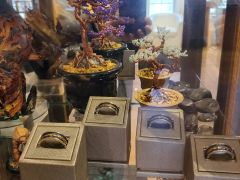 Silver Bonsai Gallery photo
