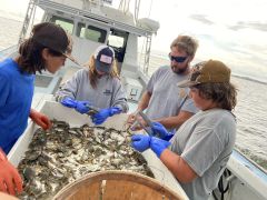 Risky Business Shrimping &amp; Crabbing Charters photo