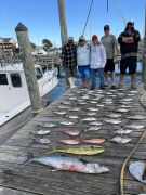 Fish Ocracoke photo