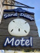 Sand Dollar Motel photo