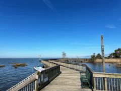 Duck Town Park photo