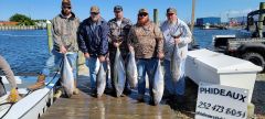 Outer Banks Fishing Charters photo