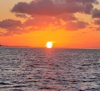 Captain Johnny’s Dolphin Tours photo