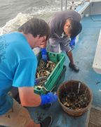 Risky Business Shrimping &amp; Crabbing Charters photo