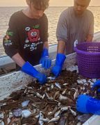 Risky Business Shrimping &amp; Crabbing Charters photo