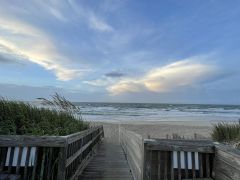 Dolphin Realty photo