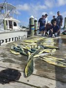Outer Banks Fishing Charters photo