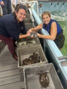 North Carolina Aquarium on Roanoke Island photo
