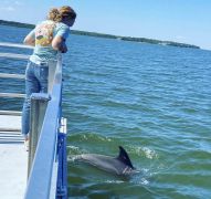 Captain Johnny’s Dolphin Tours photo