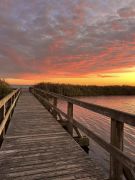 Whalehead photo