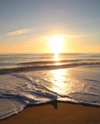 The Northern Outer Banks photo