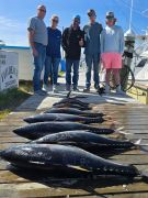 Outer Banks Fishing Charters photo