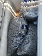 Risky Business Shrimping &amp; Crabbing Charters photo