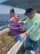 Risky Business Shrimping &amp; Crabbing Charters photo