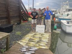 Wild Card Sportfishing Charters photo
