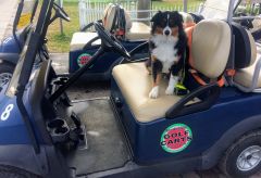 Ocracoke Island Golf Carts photo