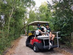 Ocracoke Island Golf Carts photo