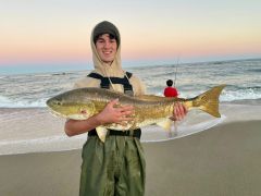 Red Drum Tackle Shop photo