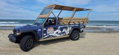 Back Beach Wild Horse Tours photo