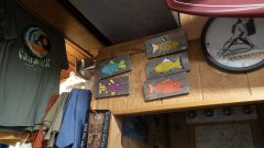 Cavalier Surf Shop photo