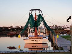 Hallie M Shrimping Charters photo