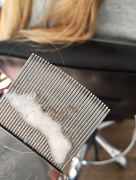 Outer Banks Lice Care photo