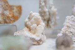 Traveler's Moon photo