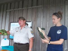 Turtle Talk at Alligator River National Wildlife Refuge
