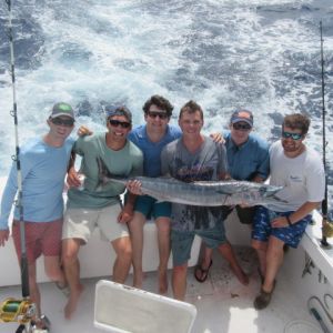 Gecko Sportfishing photo