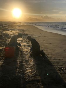 Diamond Shoals Restaurant &amp; Sushi Bar photo