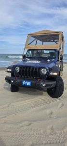 Back Beach Wild Horse Tours photo