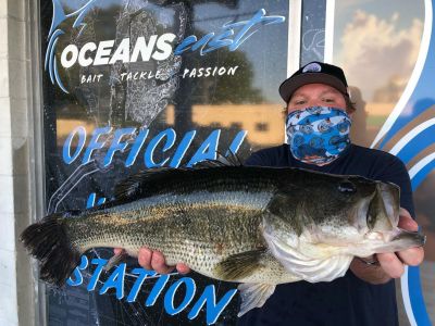 Oceans East Bait &amp; Tackle Nags Head photo